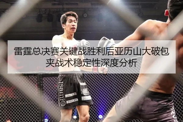 lei-ting-zong-jue-sai-guan-jian-zhan-sheng-li-hou-ya-li-shan-da-po-bao-jia-zhan-shu-wen-ding-xing-shen-du-fen-xi-2-701.jpg